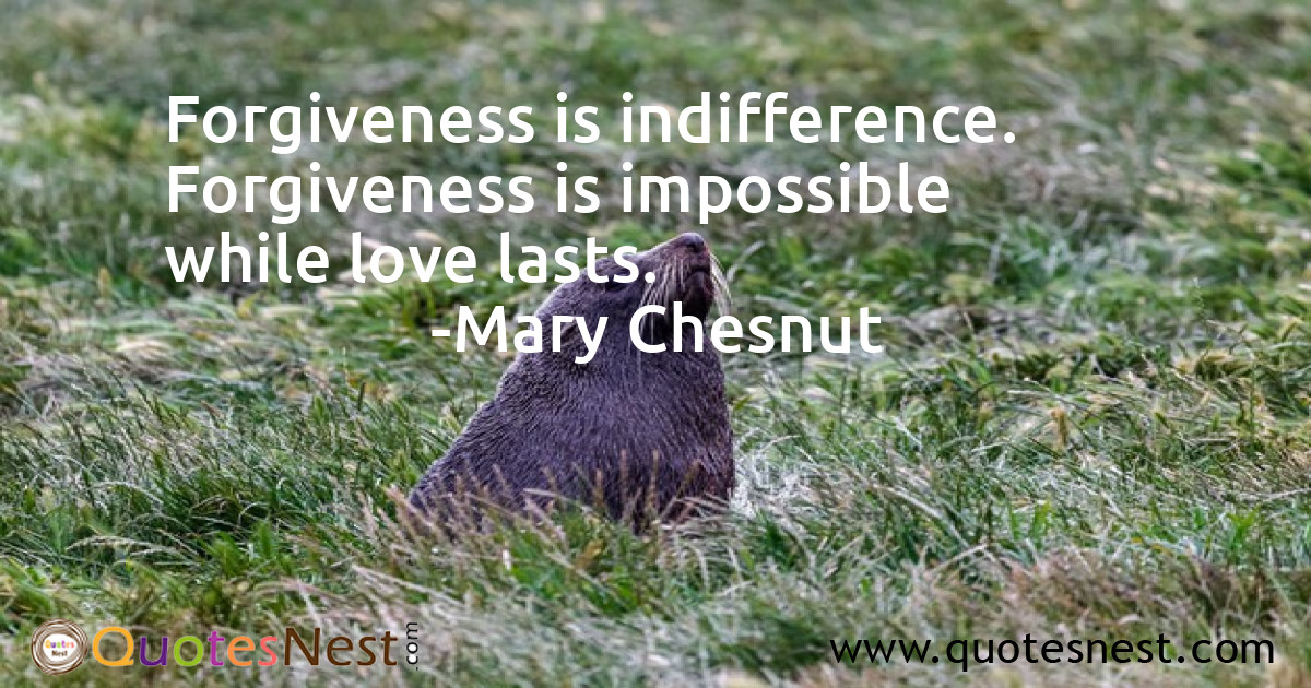 Forgiveness_Mary Chesnut_3_small