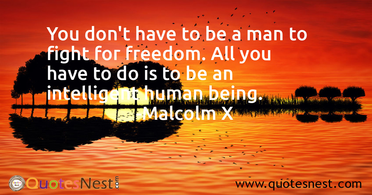 Freedom_Malcolm X_2_small