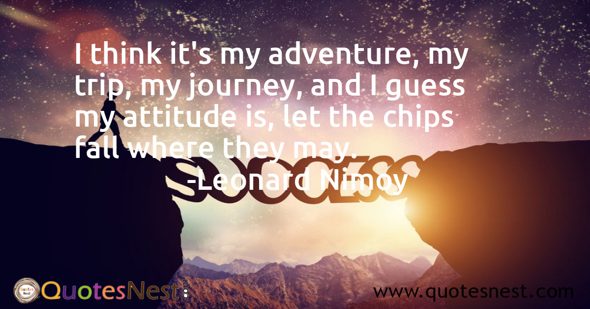 I think it's my adventure, my trip, my journey, and I guess my attitude is, let the chips fall where they may.