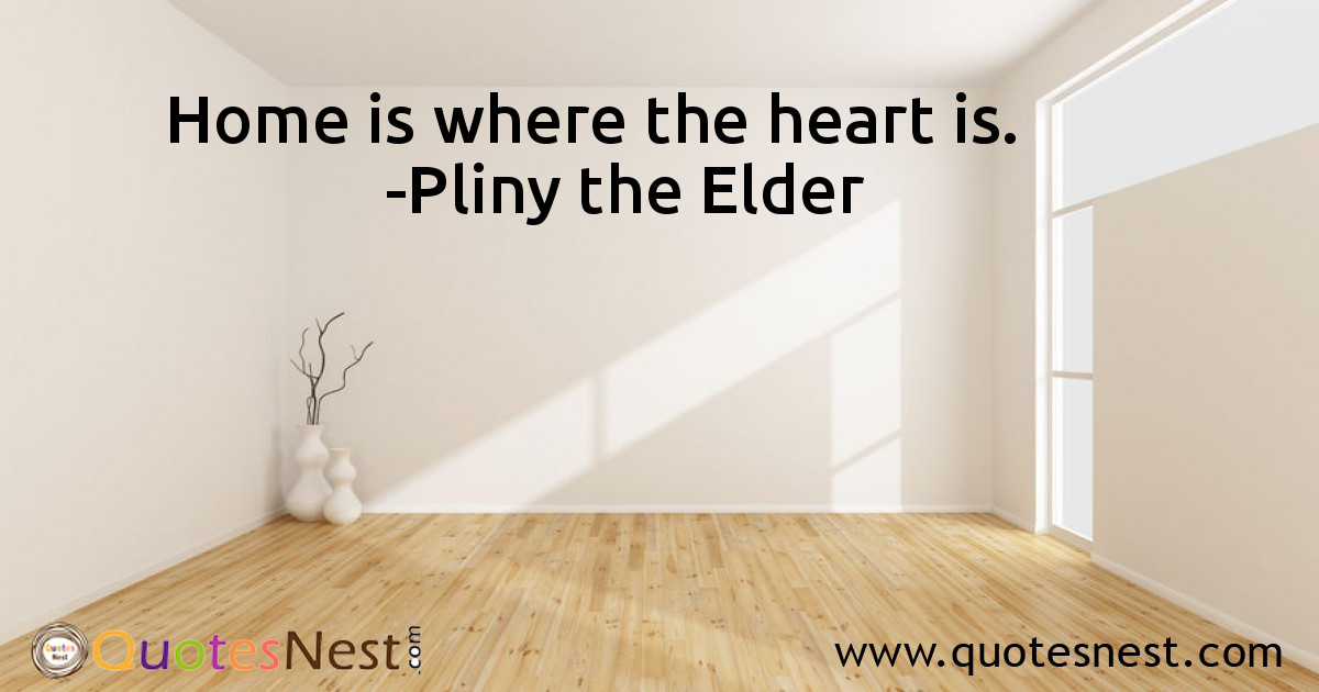 Home_Pliny the Elder_4_small