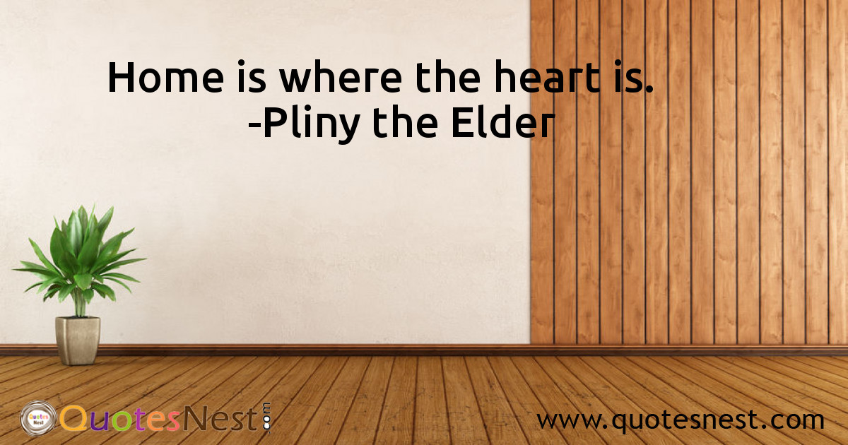 Home_Pliny the Elder_3_small
