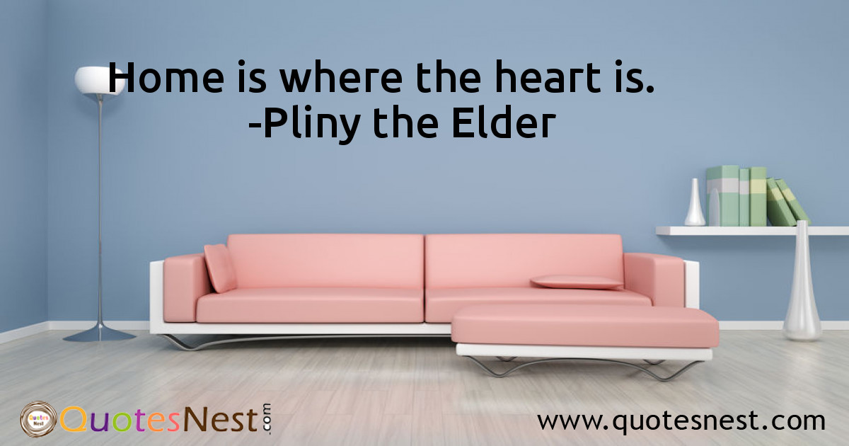 Home_Pliny the Elder_2_small