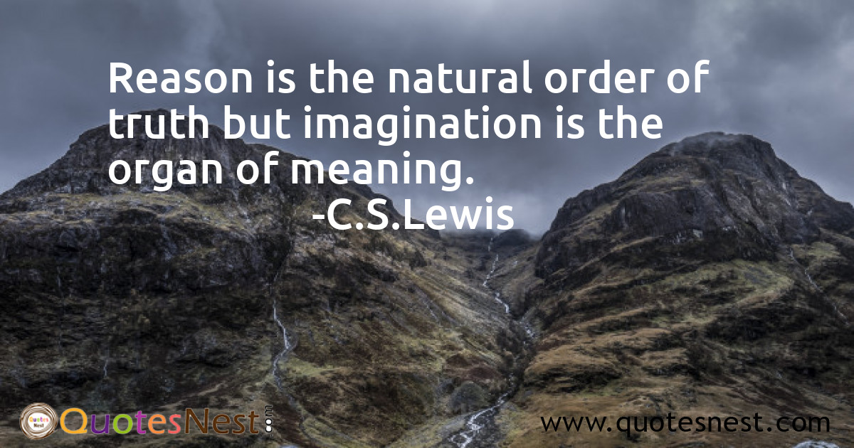 Imagination Quotes 2065