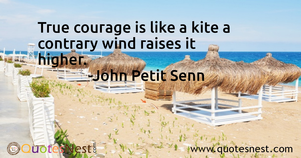True courage is like a kite a contrary wind raises it higher.