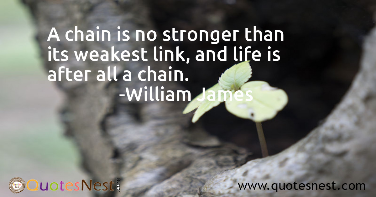 A chain is no stronger than its weakest link, and life is after all a chain.