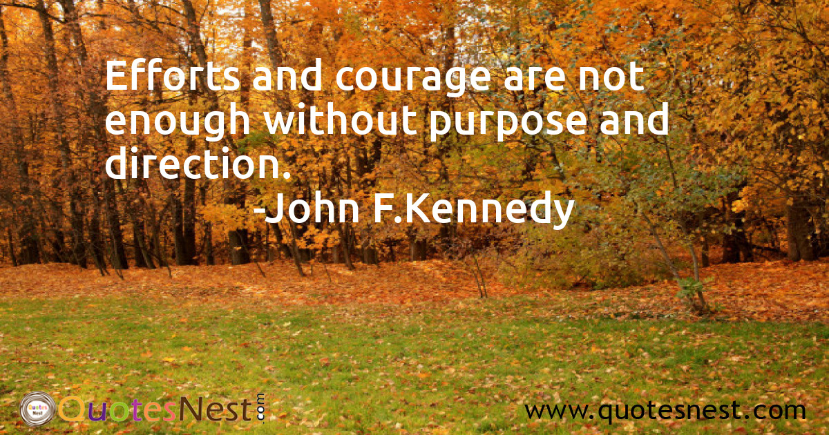 Efforts and courage are not enough without purpose and direction.