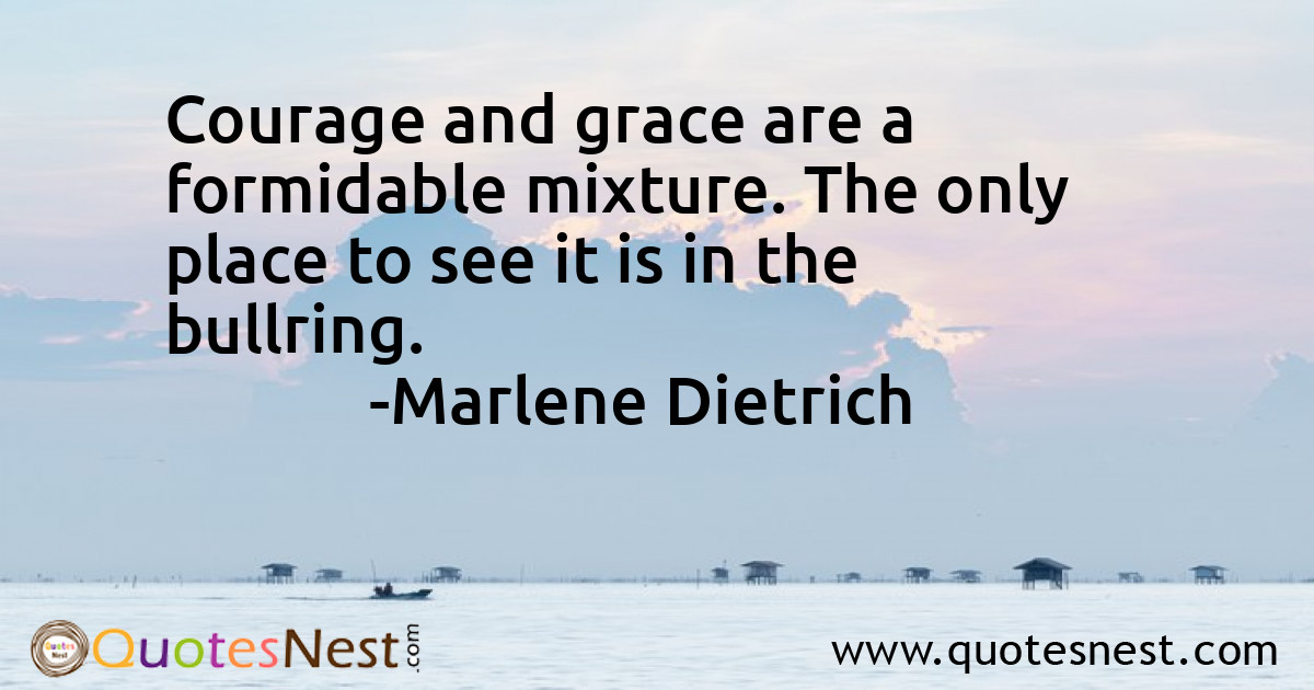 Courage and grace are a formidable mixture. The only place to see it is in the bullring.