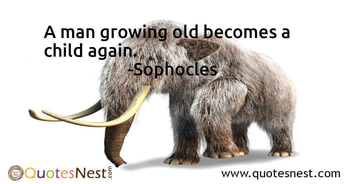 Age_Sophocles_5_small