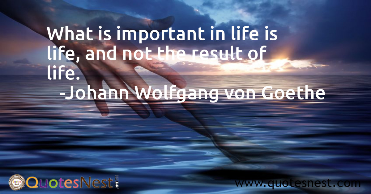 What is important in life is life, and not the result of life.