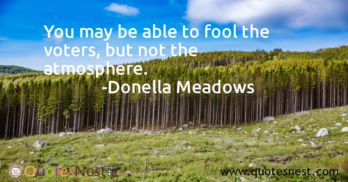 Environmental_Donella Meadows_5_small