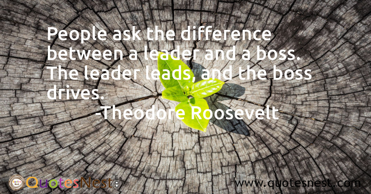 Leadership_Theodore Roosevelt_2_small
