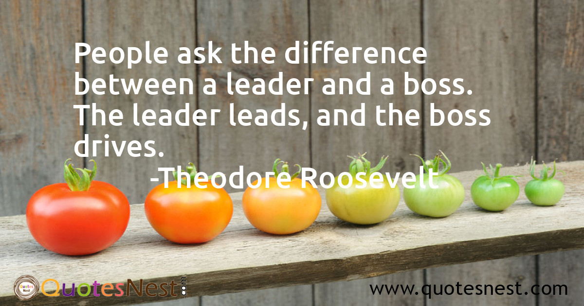 Leadership_Theodore Roosevelt_4_small