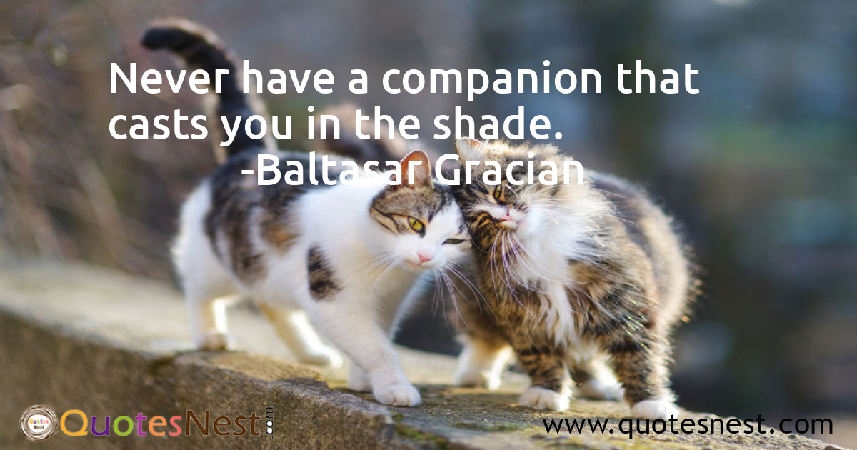 Never have a companion that casts you in the shade.