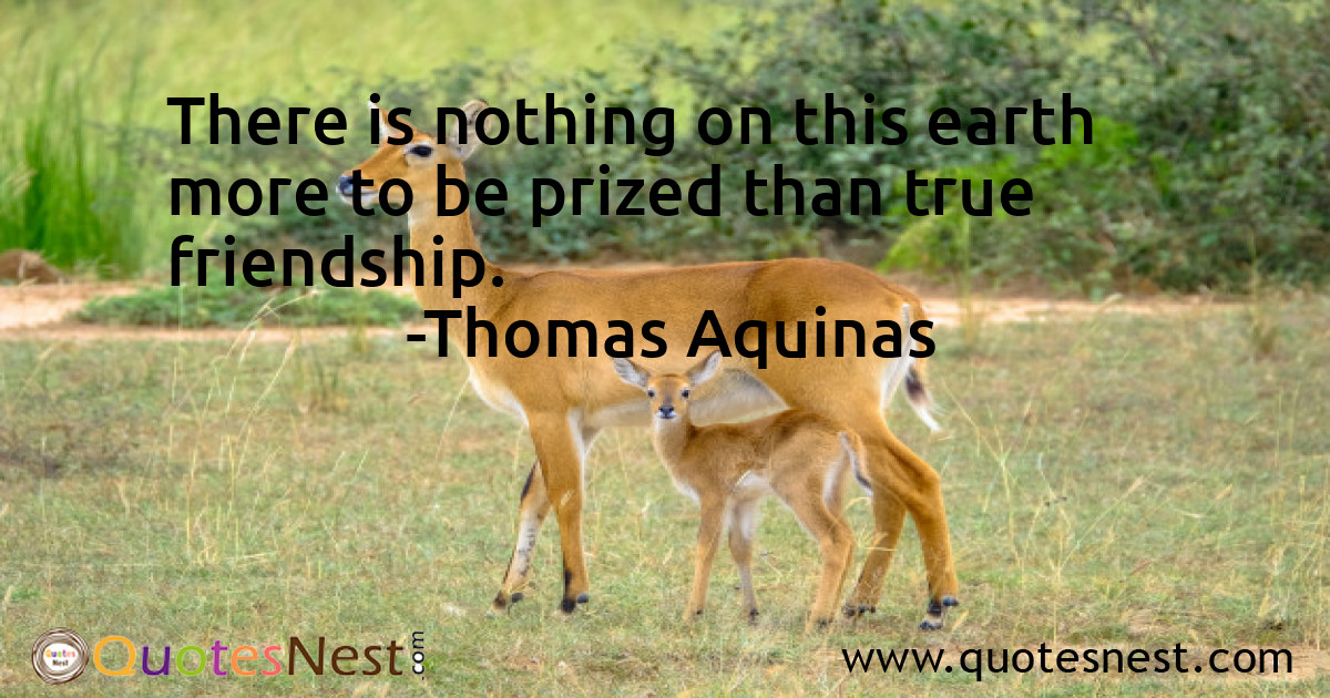 Friendship_Thomas Aquinas_3_small