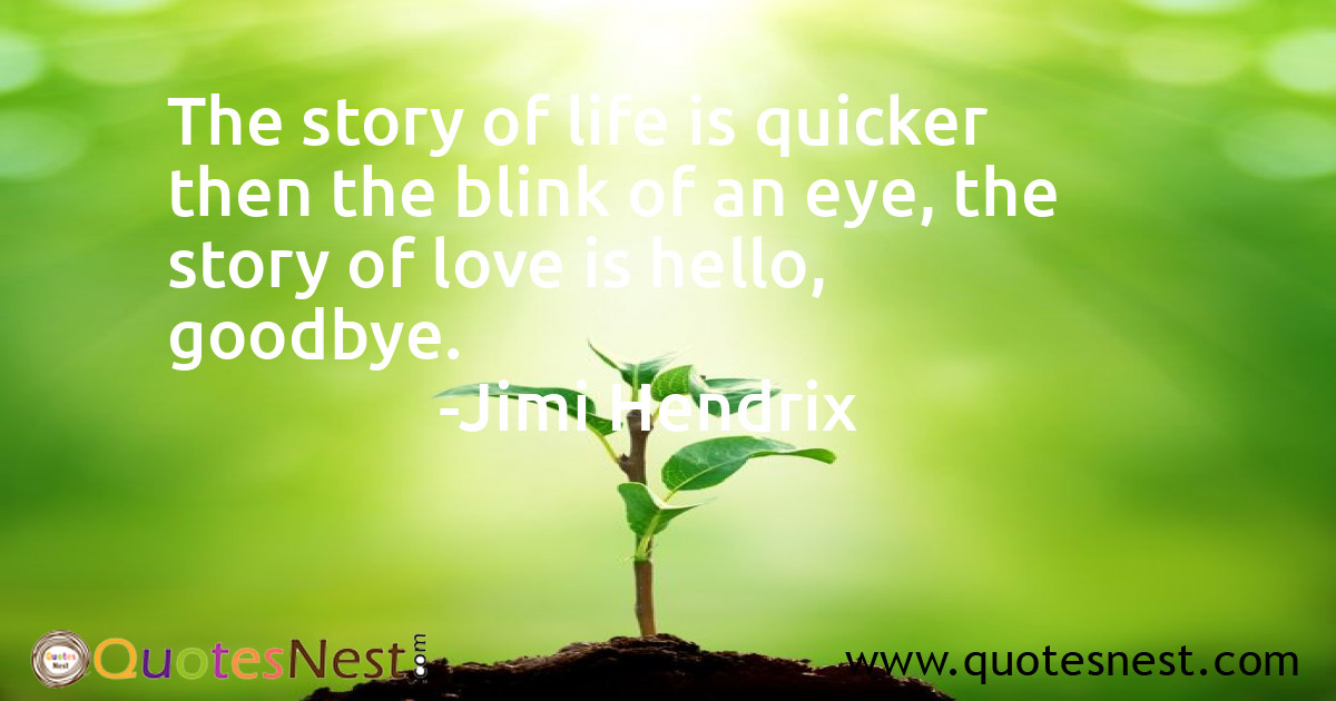 Life_Jimi Hendrix_2_small