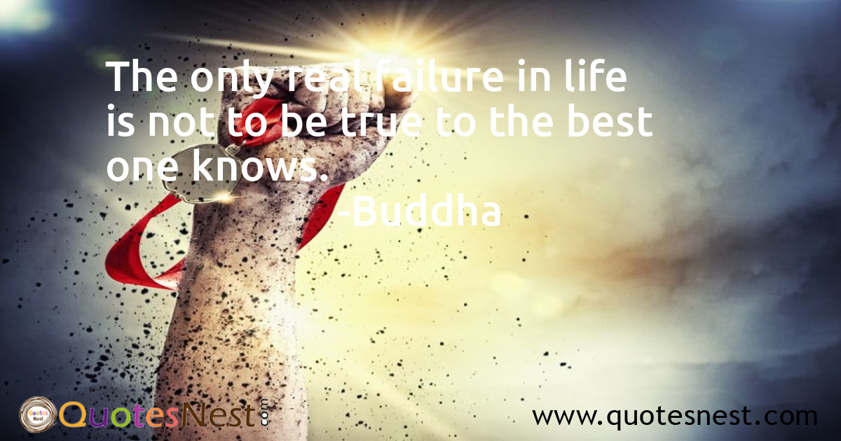 Best Quotes 557