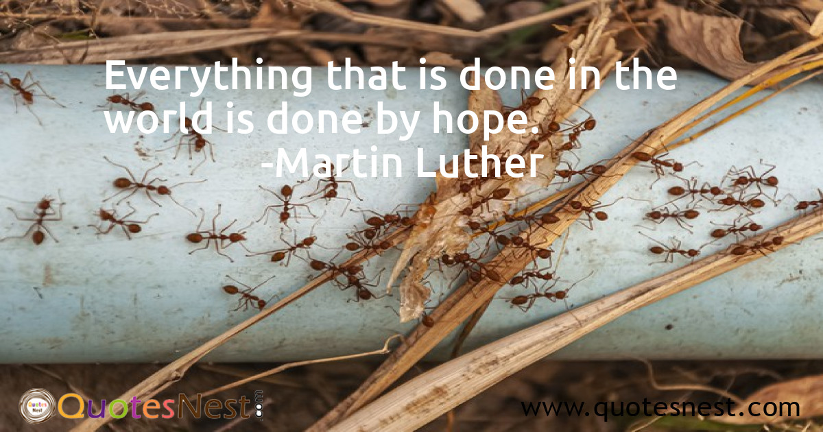 Everything that is done in the world is done by hope.