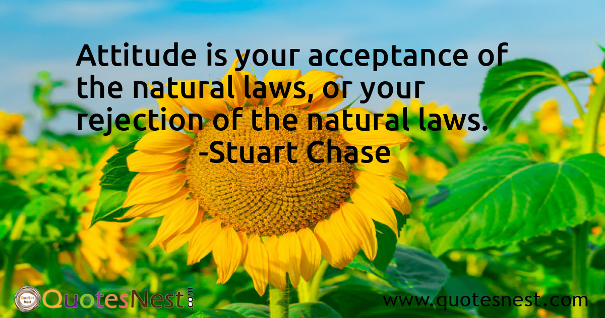 Attitude_Stuart Chase_5_small