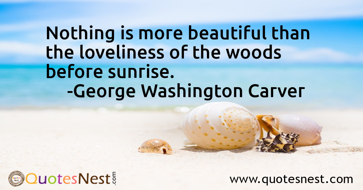 Morning_George Washington Carver_4_small