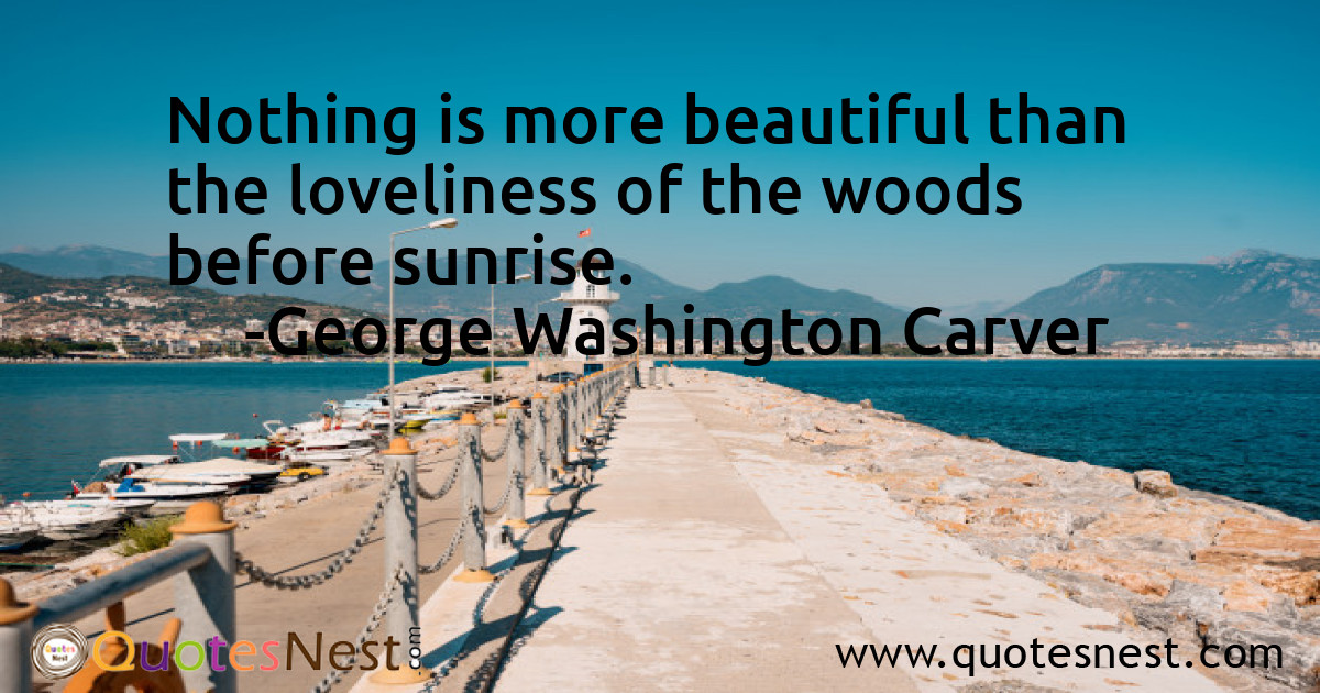 Morning_George Washington Carver_3_small