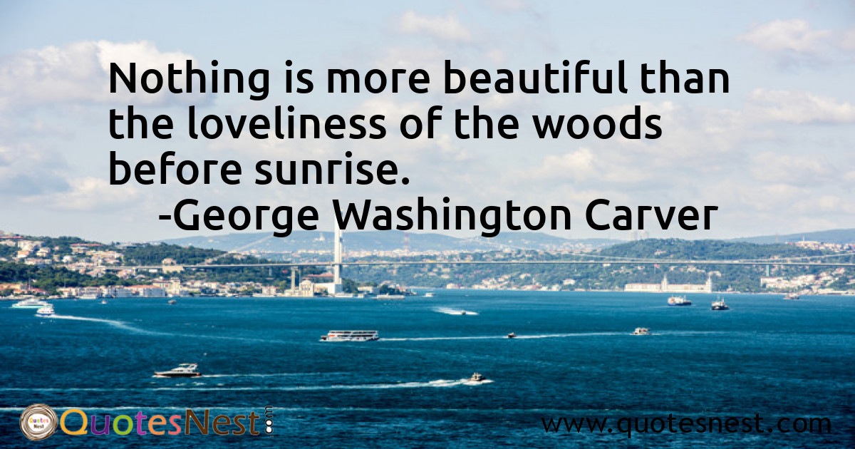 Morning_George Washington Carver_2_small
