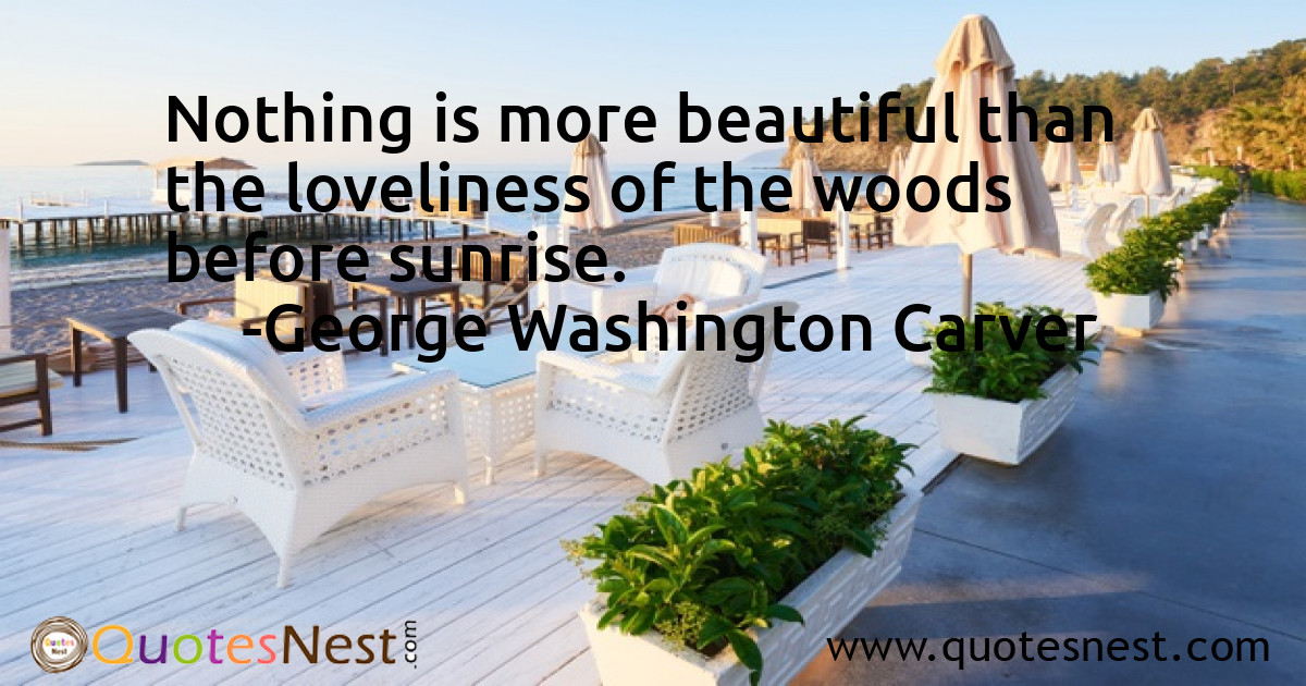 Morning_George Washington Carver_5_small