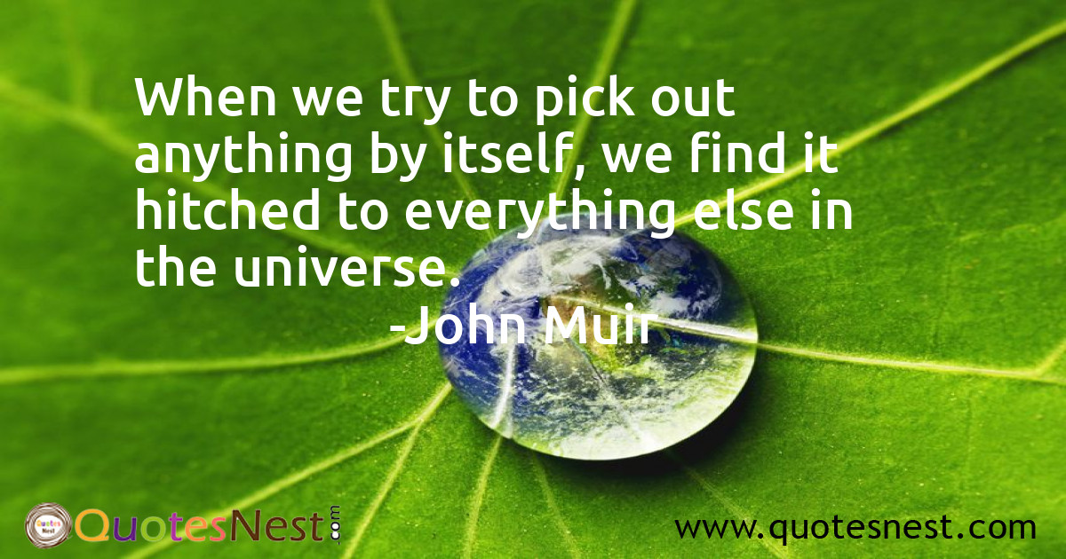 Environmental_John Muir_5_small