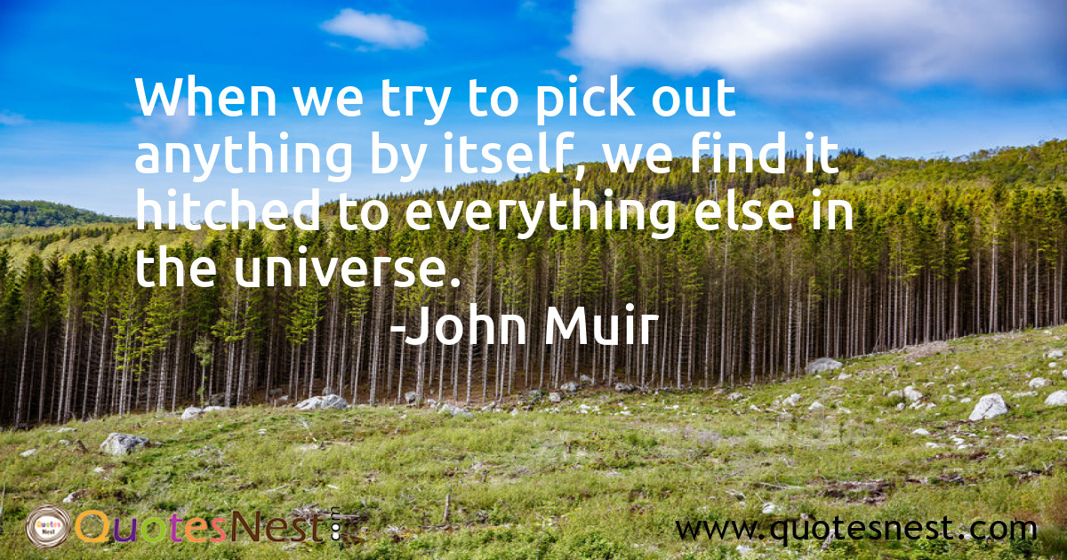 Environmental_John Muir_2_small