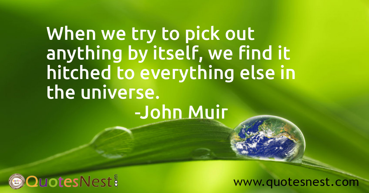 When we try to pick out anything by itself, we find it hitched to everything else in the universe.
