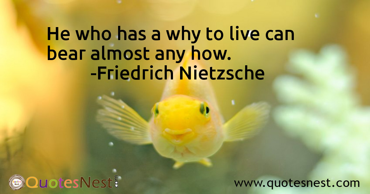 Life_Friedrich Nietzsche_3_small