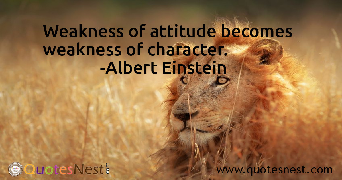Attitude_Albert Einstein_4_small