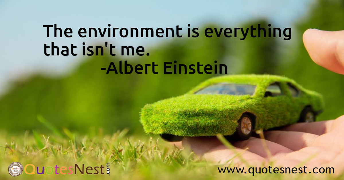 Environmental_Albert Einstein_4_small