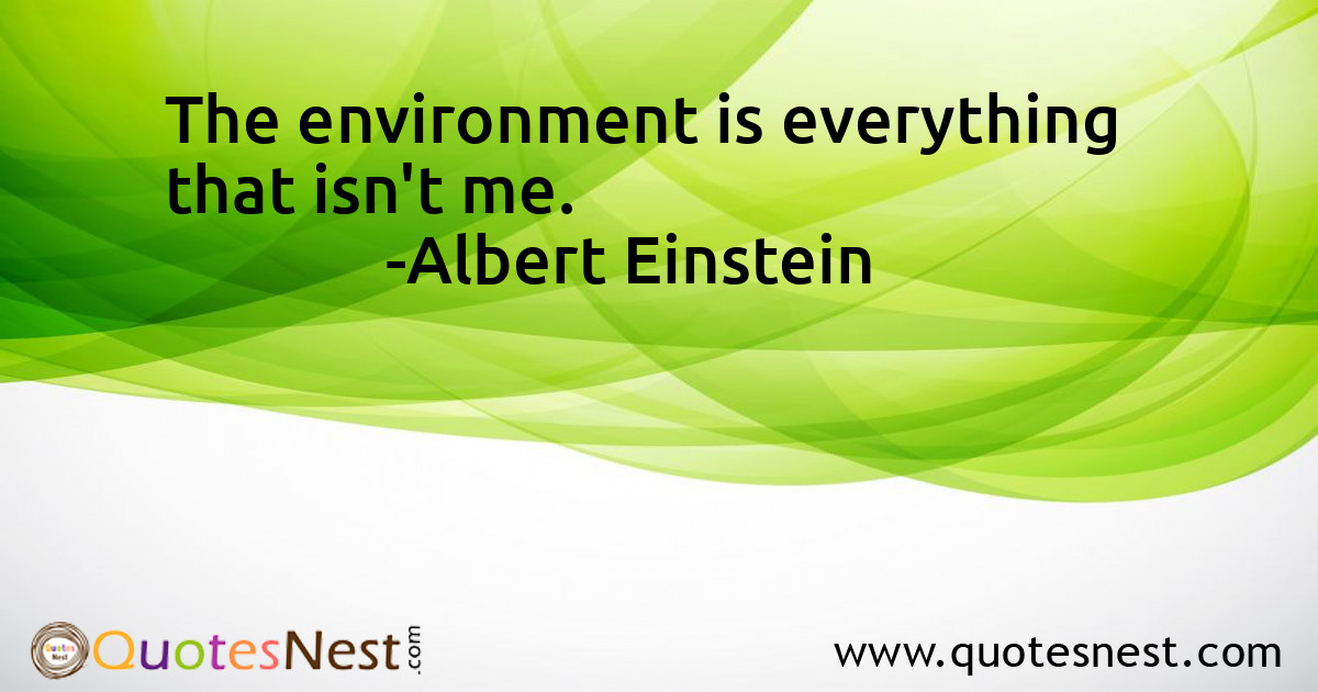 Environmental_Albert Einstein_3_small