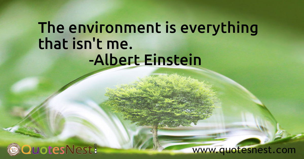 Environmental_Albert Einstein_2_small