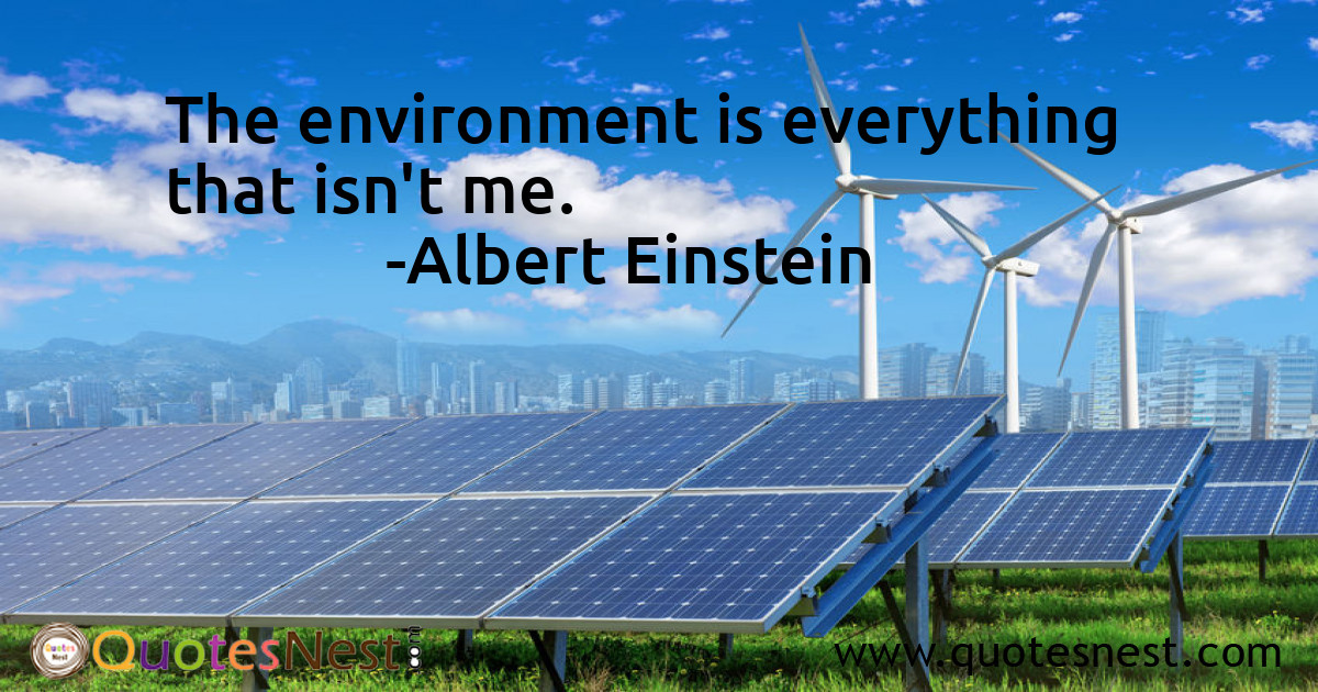 Environmental_Albert Einstein_5_small