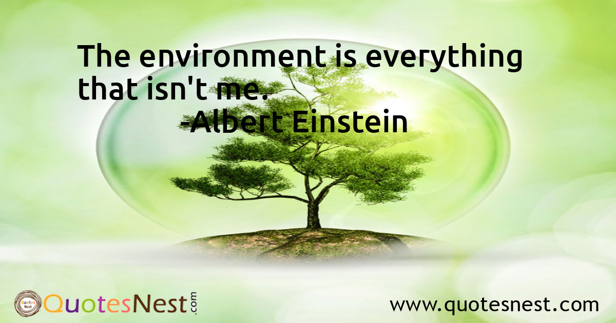 The environment is everything that isn't me.