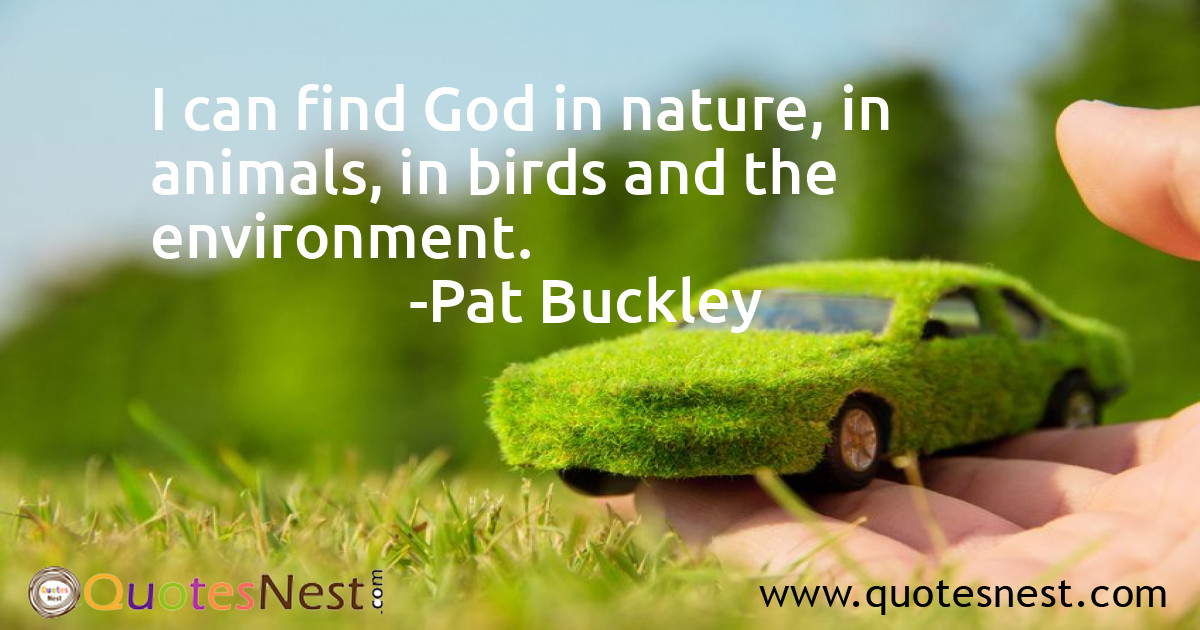 Environmental_Pat Buckley_5_small