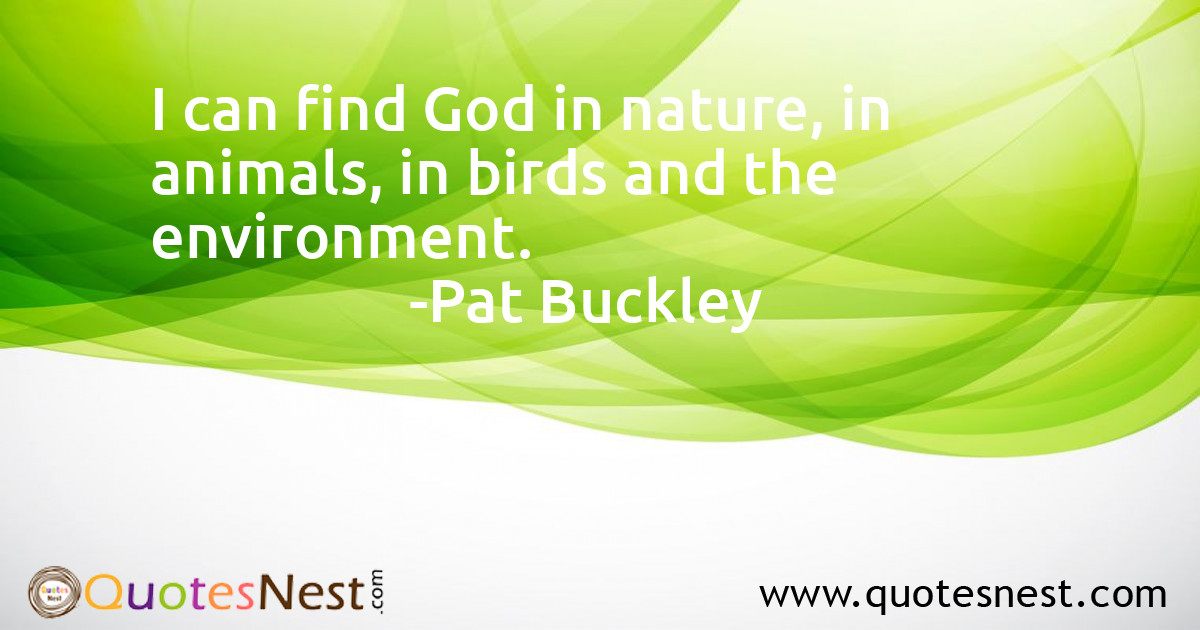Environmental_Pat Buckley_4_small