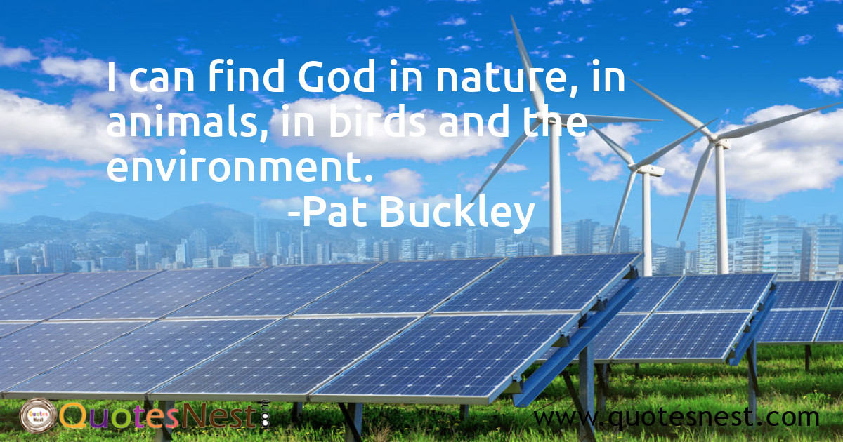 Environmental_Pat Buckley_2_small