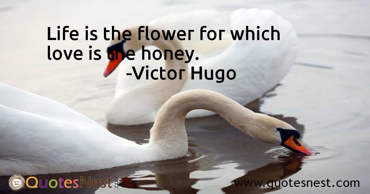 Love_Victor Hugo_5_small