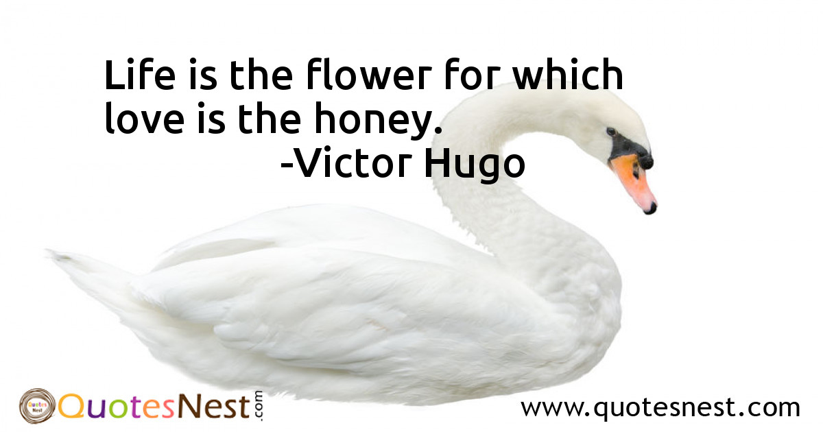 Love_Victor Hugo_3_small