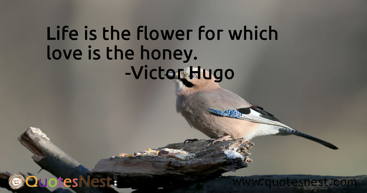 Love_Victor Hugo_2_small