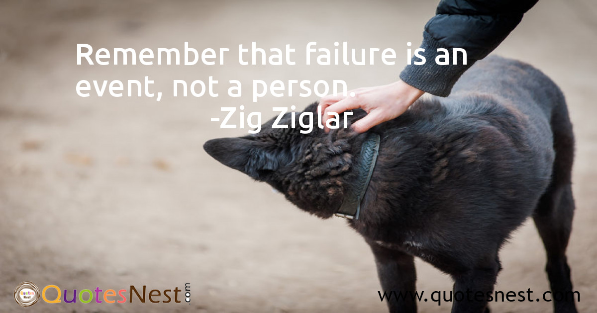 Failure_Zig Ziglar_2_small
