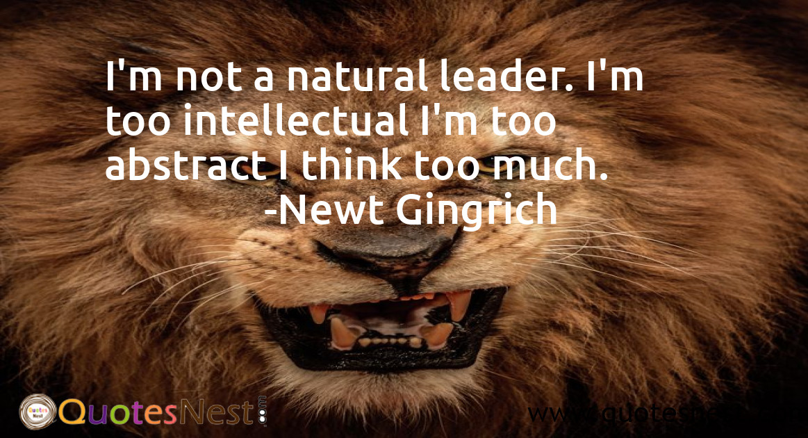 Leadership_Newt Gingrich_2_small
