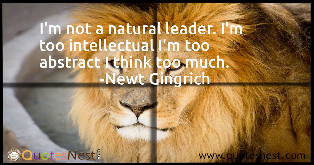Leadership_Newt Gingrich_3_small