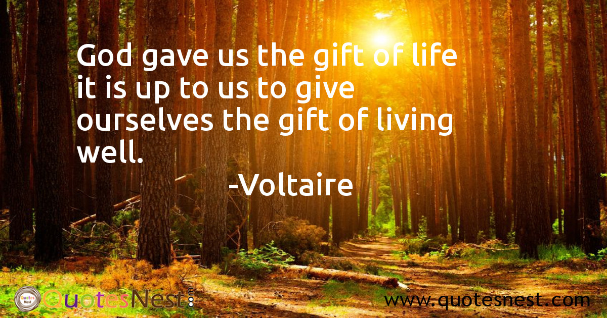 God_Voltaire_3_small