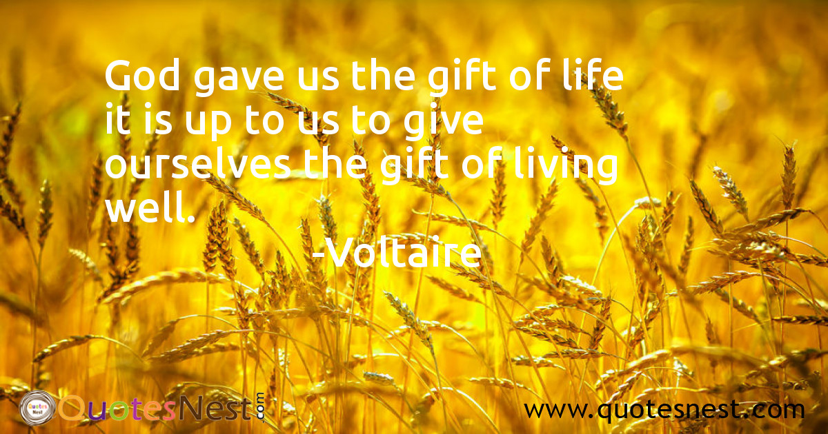 God_Voltaire_5_small