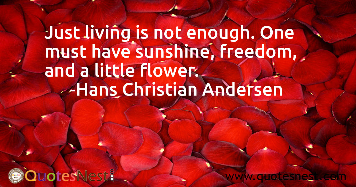 Freedom_Hans Christian Andersen_4_small