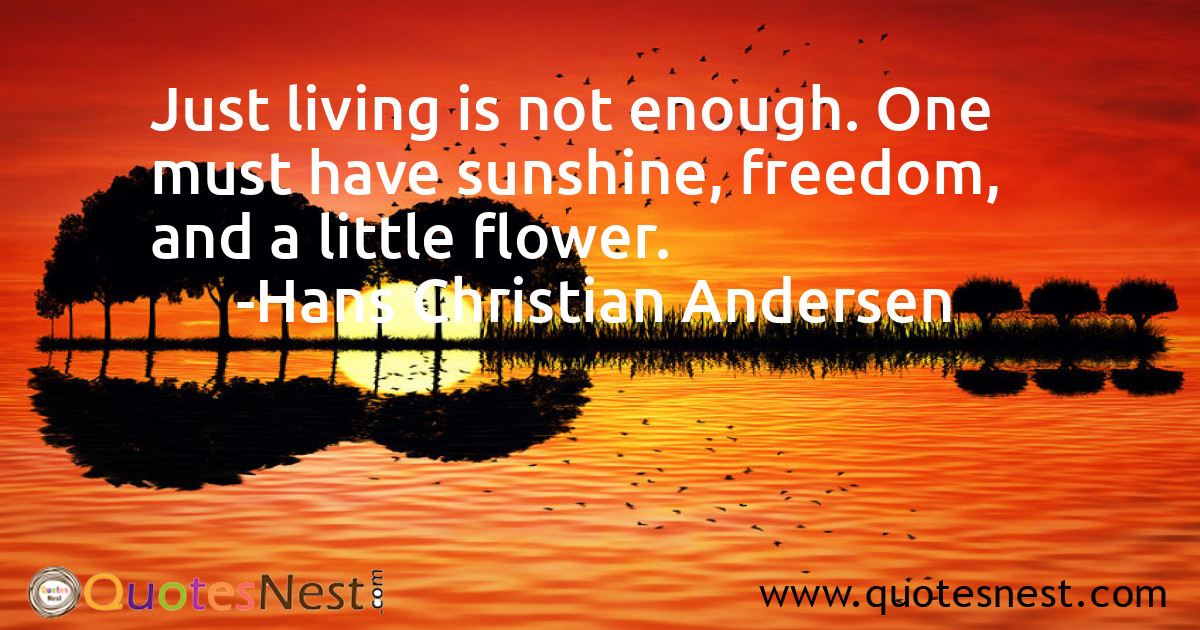 Freedom_Hans Christian Andersen_2_small