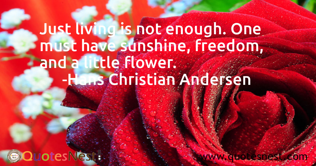 Freedom_Hans Christian Andersen_5_small